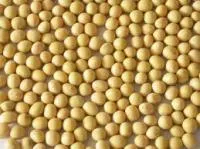 Семена сои Устя