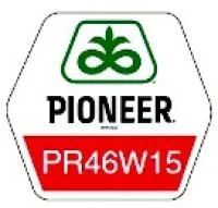 Насіння озимого ріпаку Pioneer ПР46В15 / PR46W15