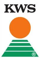 Семена кукурузы КВС (KWS)