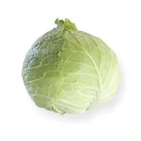Капуста белокочанная ПРЕДЕКО F1 (2500 семян) Takii Seeds